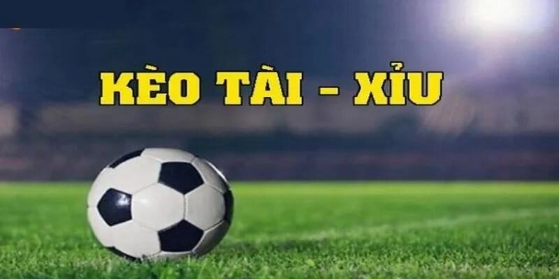 keo tai xiu 2.5 avt