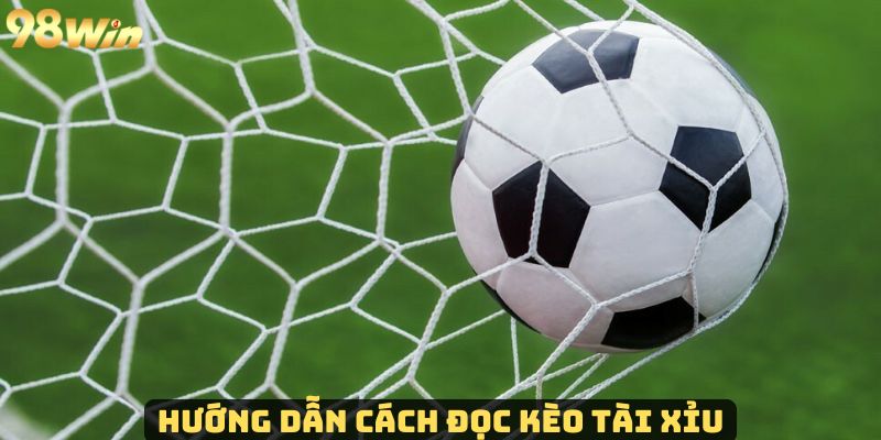 Kèo Tài Xỉu - Hướng Dẫn Cách Đọc Kèo Chuẩn Nhất Cho Tân Thủ Cược tài xỉu phổ biến và cách đọc đúng nhất tại 98Win